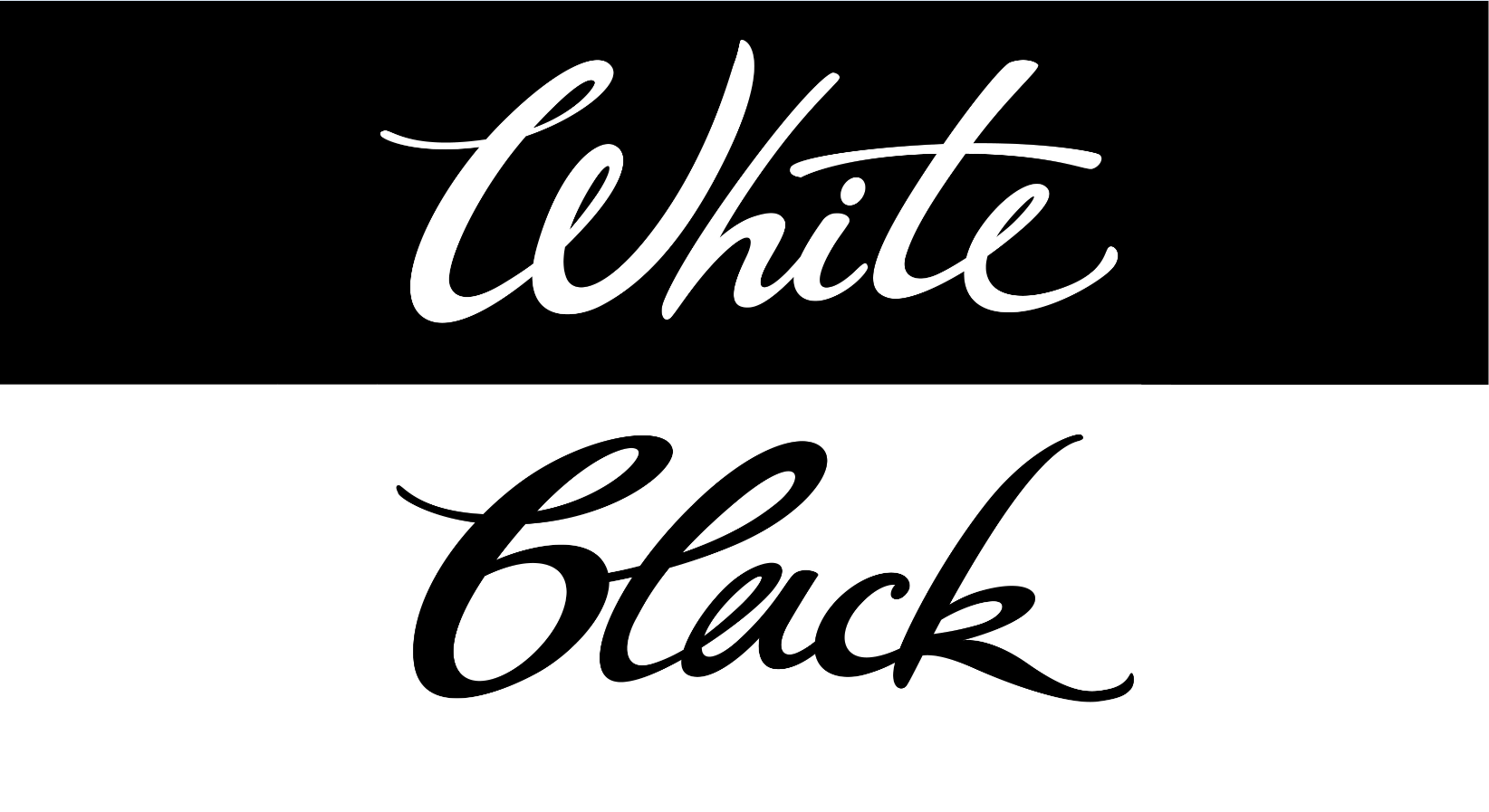 Stampante a colori o in bianco e nero: quale ti serve?